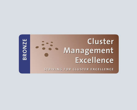 Cluster Manager